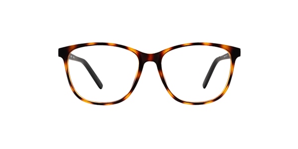 Clearly Glasses FORTUNE