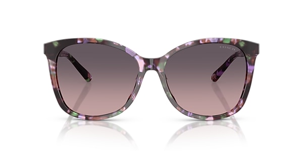 Coach Sunglasses HC8271U L1101