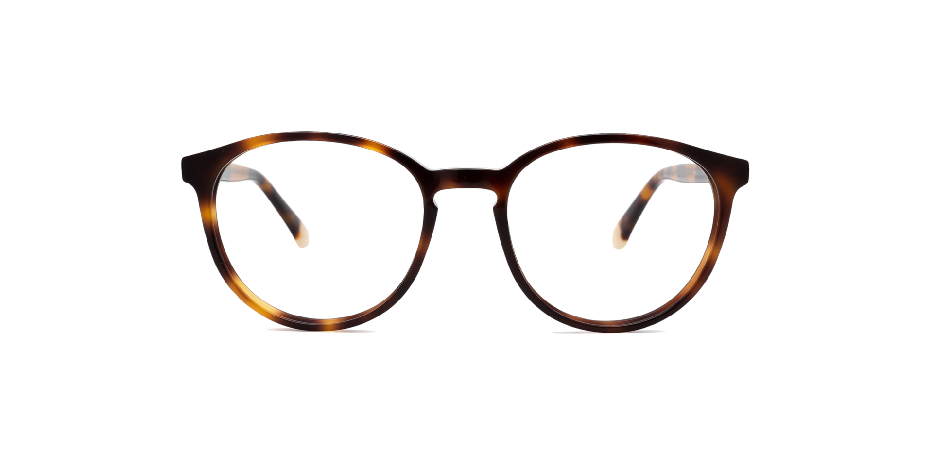 Clearly PINE Havana, Size: XS