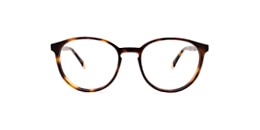 Clearly Glasses PINE