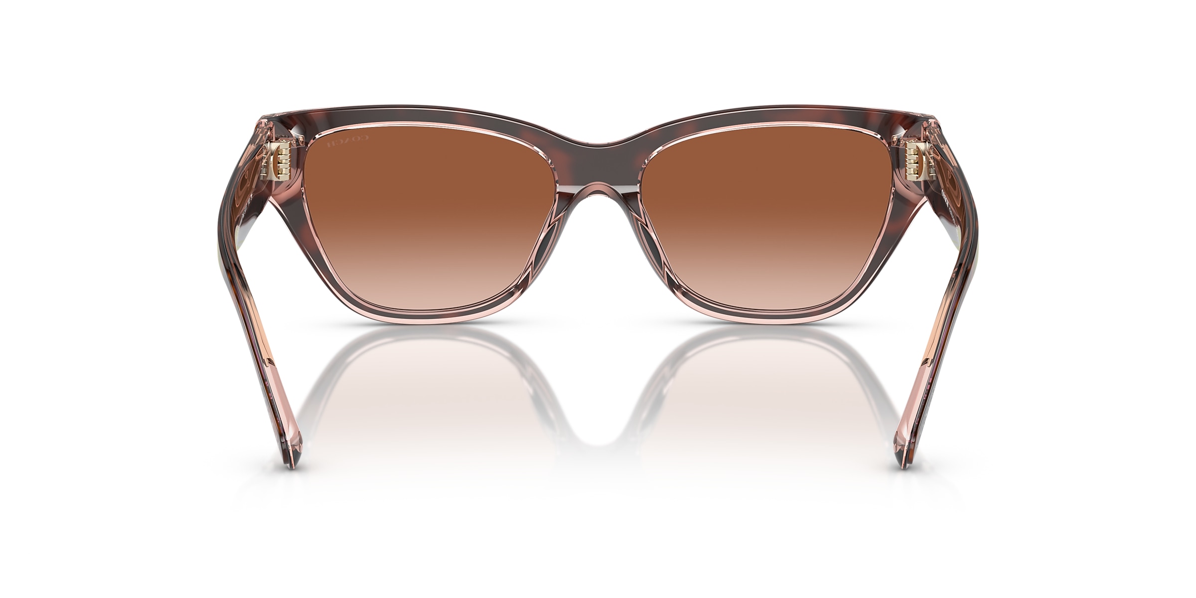 Coach Sunglasses HC8370U CH570