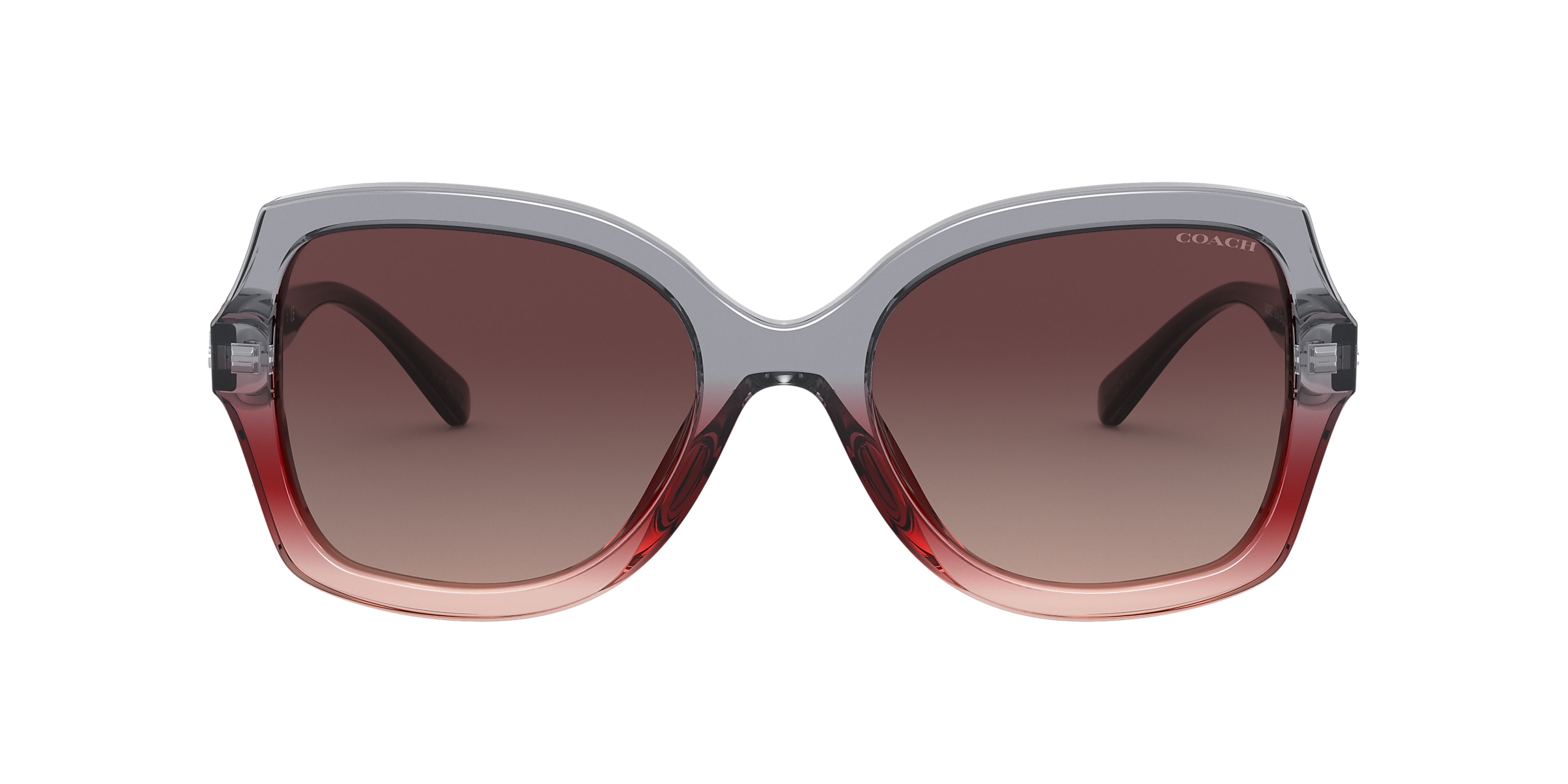 Coach Sunglasses HC8295 L1147