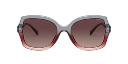 Coach Sunglasses HC8295 L1147