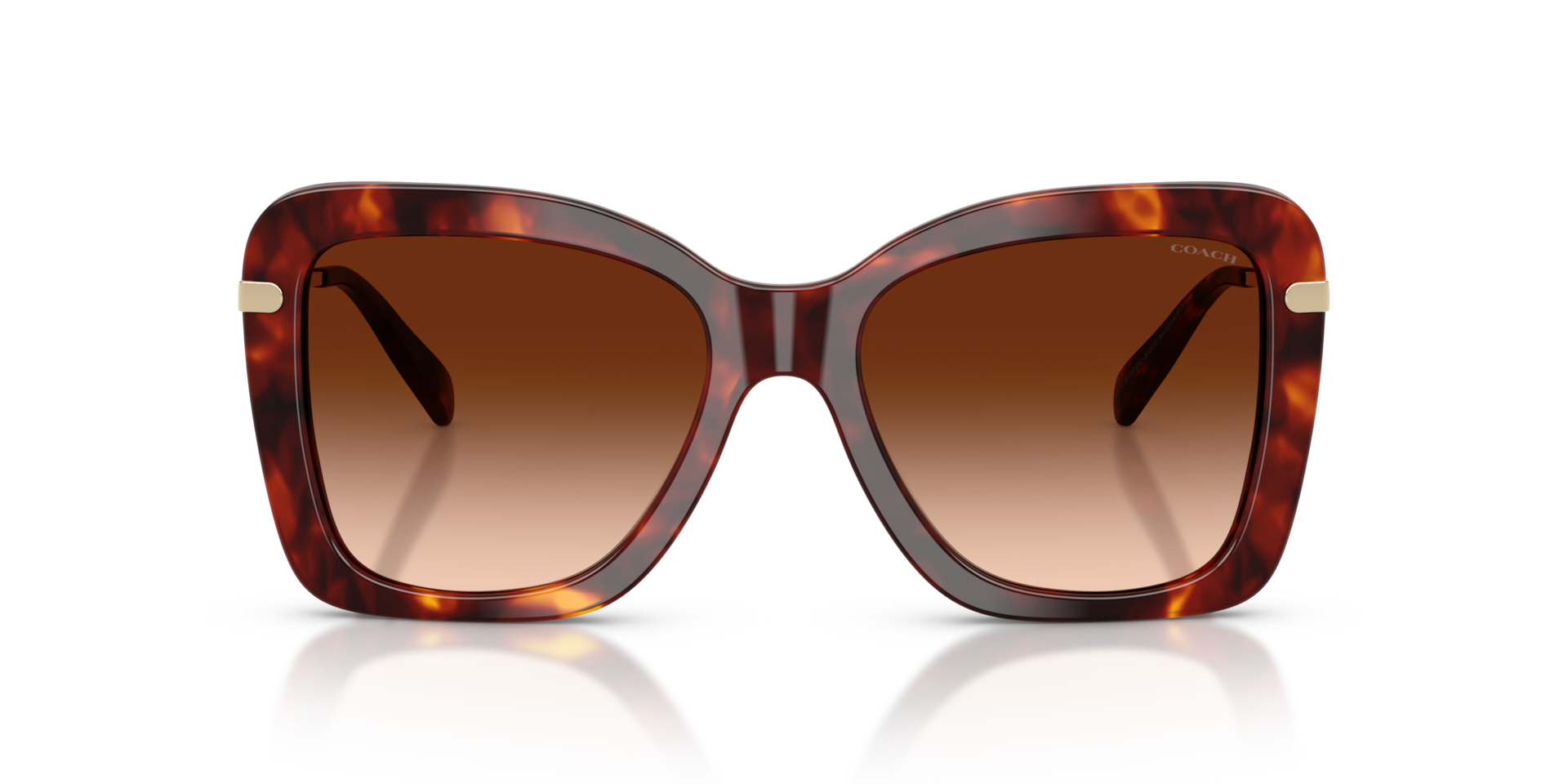 Coach HC8461U CFU03 Walnut Tortoise, Size: XL