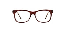 Clearly Glasses HAMILTON