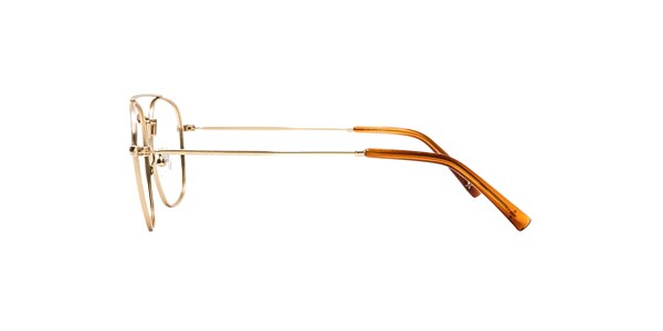 Clearly Glasses HEMLOCK