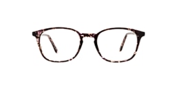 Clearly Glasses KENSINGTON