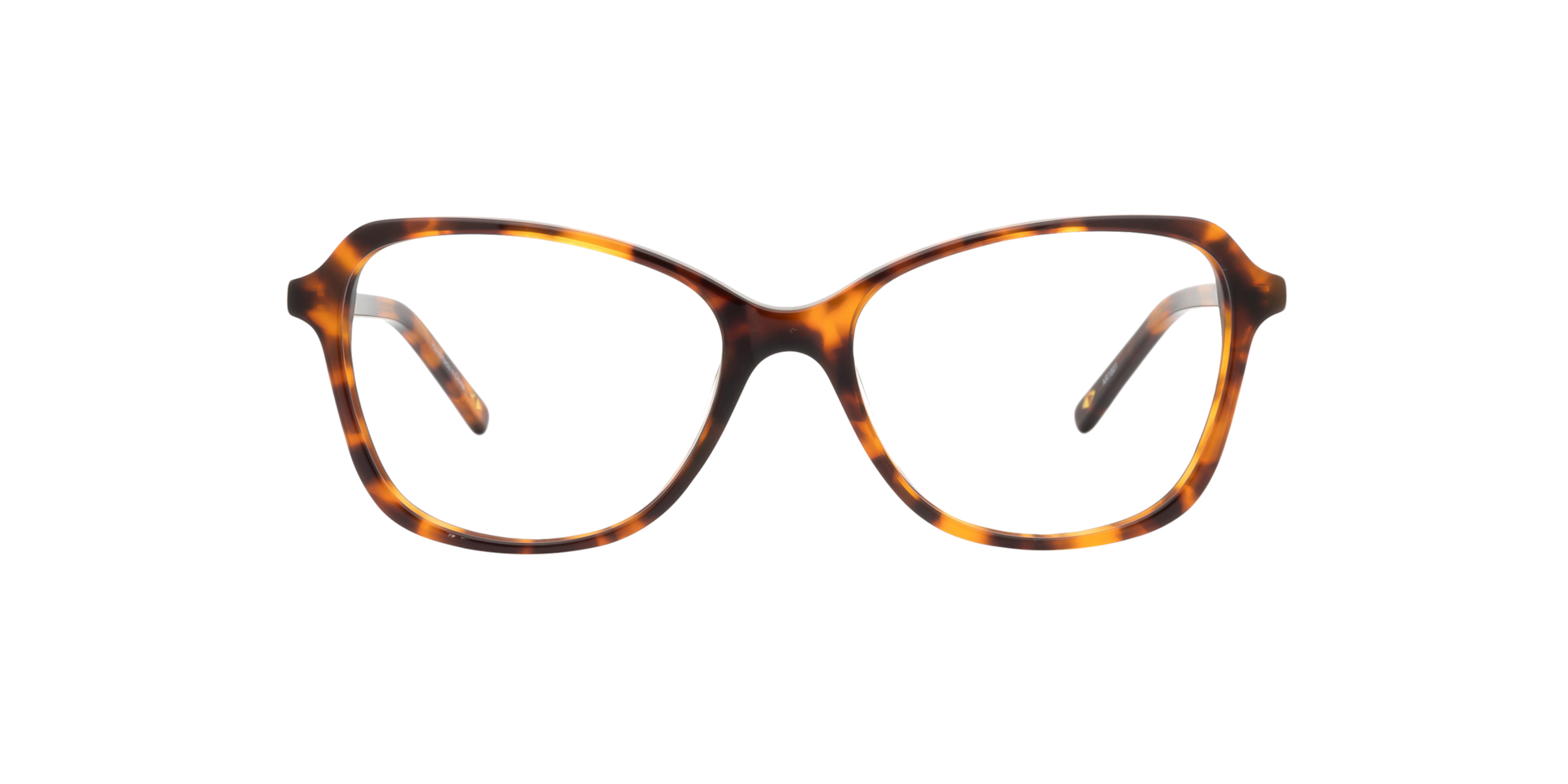 Clearly TRALEE Havana, Size: S
