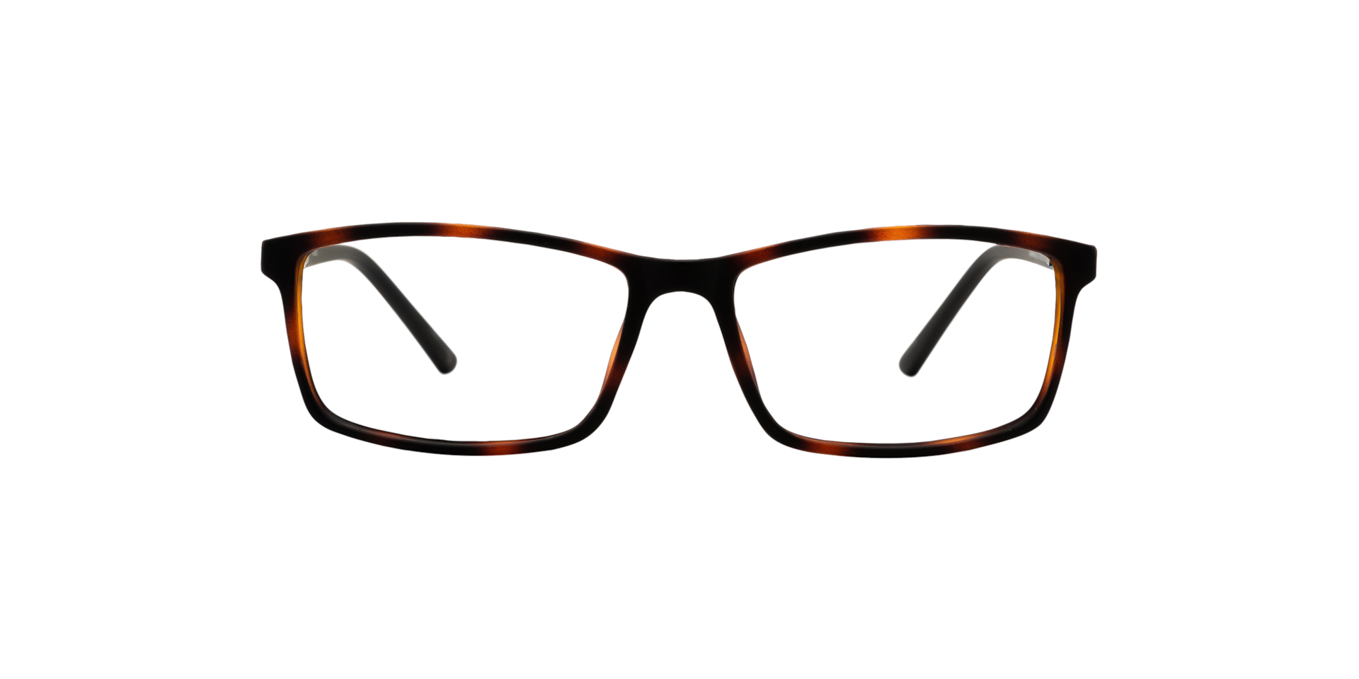 Clearly GRAVELBOURG Tortoise, Size: S