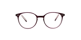 Clearly Glasses SILVER DOLLAR
