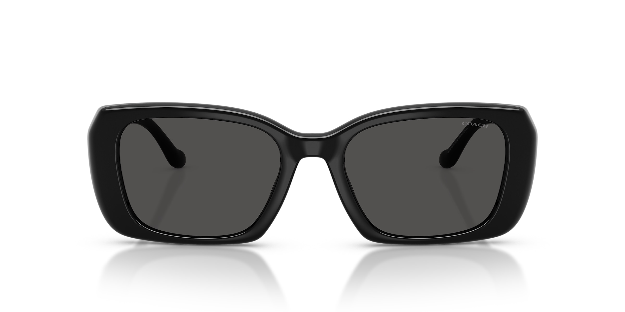 Coach Sunglasses HC8435U CBY82