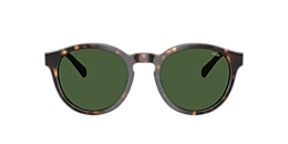 Polo Ralph Lauren Sunglasses PH4192