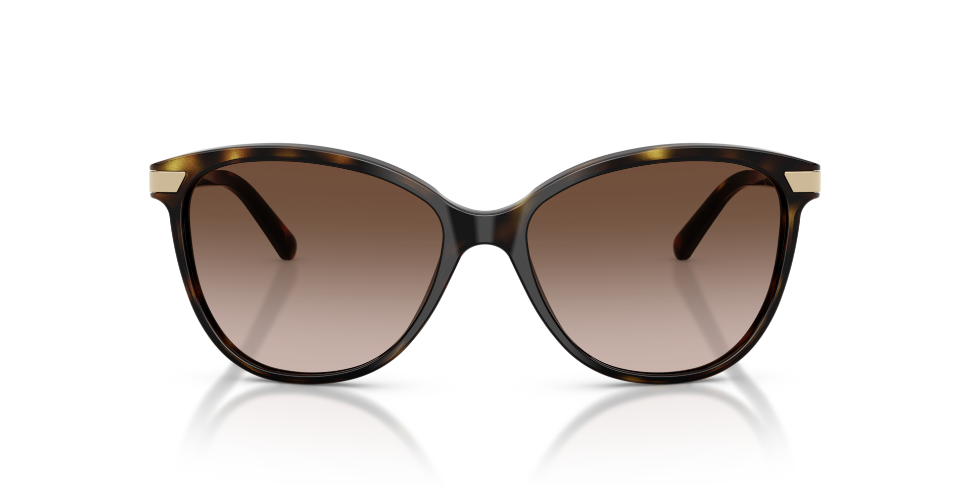 Burberry BE4216 Dark Havana, Size: L