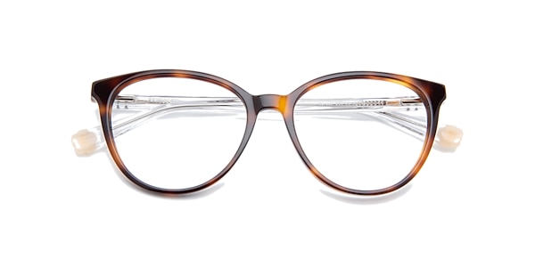 Clearly Glasses SPRUCE
