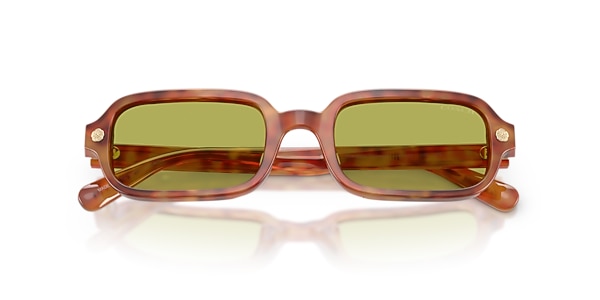 Coach Sunglasses HC8465U CFU11
