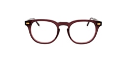 Clearly Glasses ICYCLE
