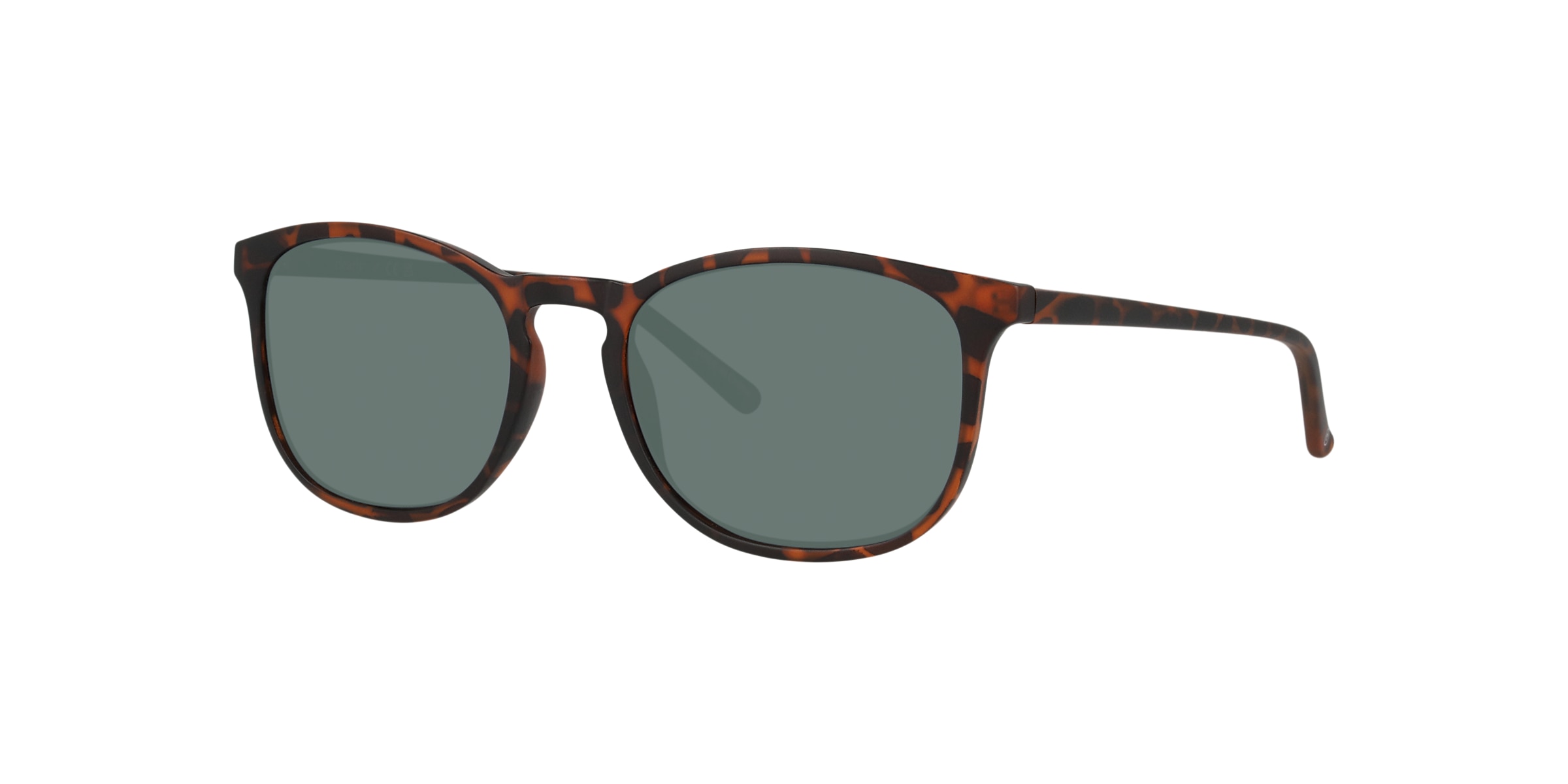 Clearly Sunglasses ORBIT