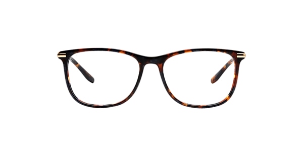 Clearly Glasses SOGEN