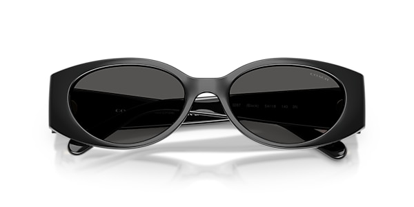 Coach Sunglasses HC8462U CFU06