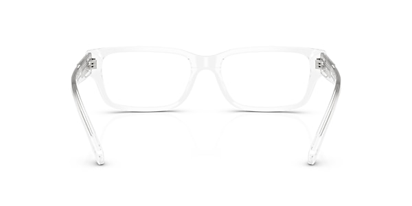 Diesel Glasses DL4002