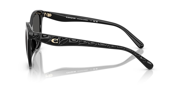 Coach Sunglasses HC8419U CAD25