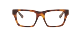 Gucci Glasses GG1889O