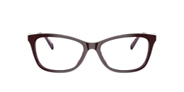 Tory Burch Glasses TY2165U
