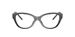 Tory Burch Glasses TY4008U