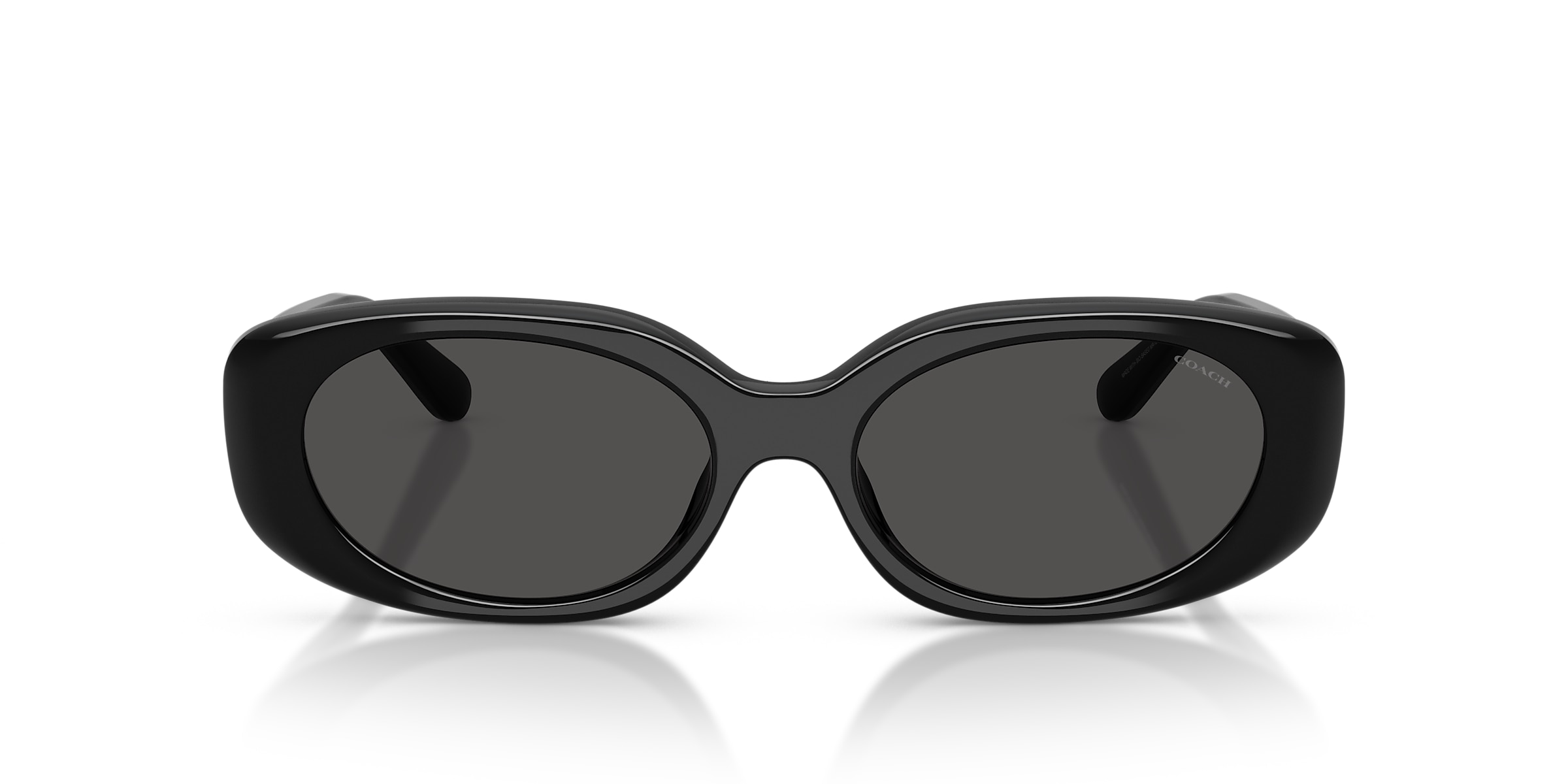 Coach Sunglasses HC8443D CBY84