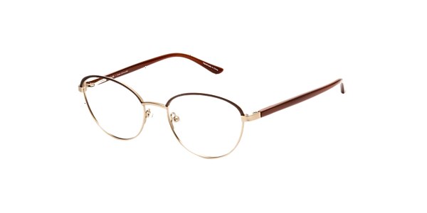 Clearly Glasses EMILY