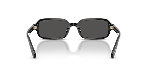 Coach Sunglasses HC8465U CFU11