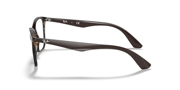 RB7066 OPTICS