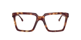 Clearly Glasses SKYSHIP