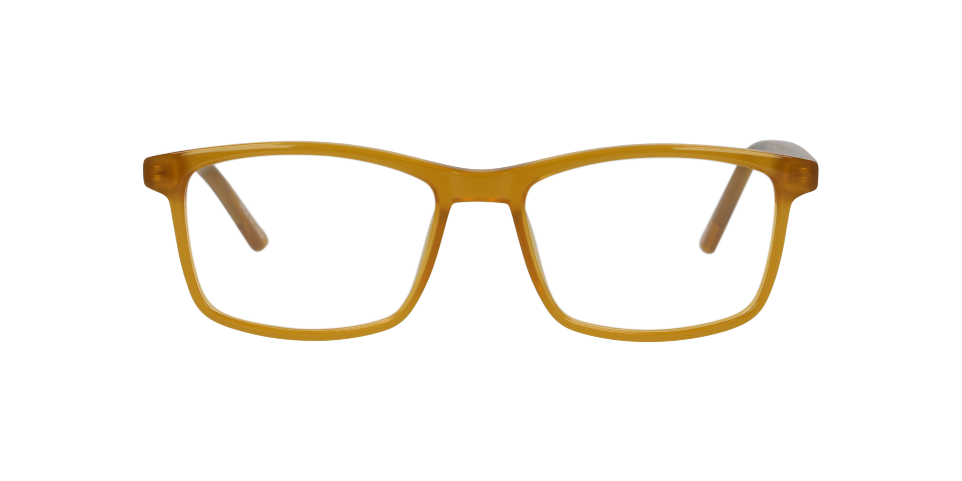 Clearly POLAR BEAR Translucent Light Brown, Size: S