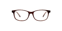 Clearly Glasses AROOSTOOK