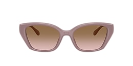 Coach Sunglasses HC8434U CBY91