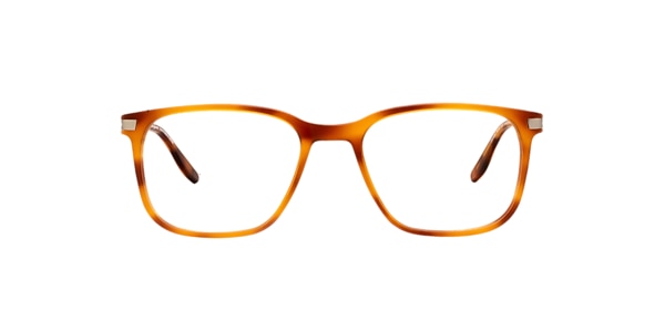Clearly Glasses COMEAU