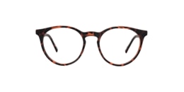 Clearly Glasses OWL