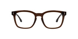 Clearly Glasses FRINGE