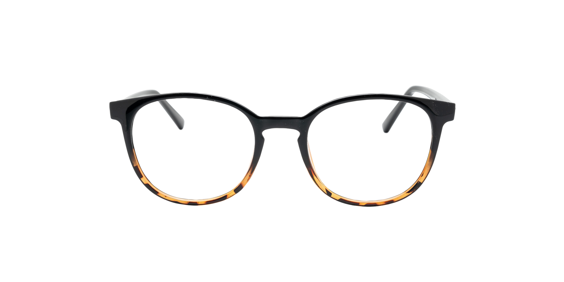 Clearly CORDIA Shiny Bicolor Black/havana, Size: M