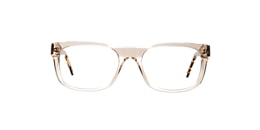 Clearly Glasses SEQUOIA