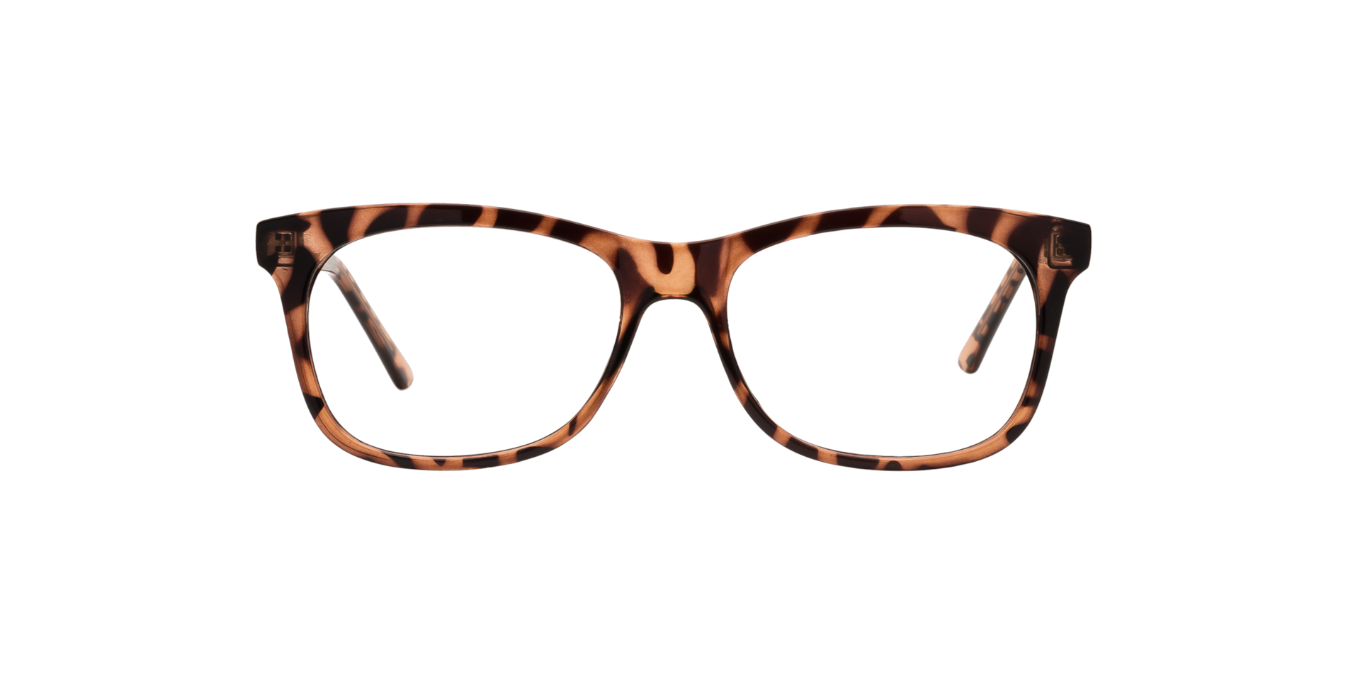 Clearly HAMILTON Tortoise, Size: XS