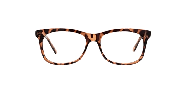 Clearly Glasses HAMILTON