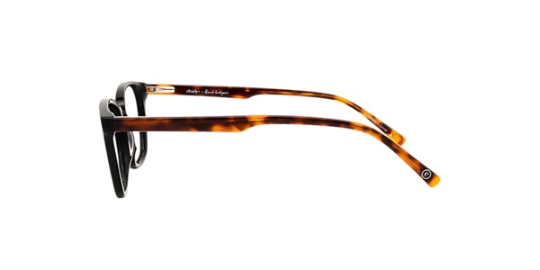 Clearly Glasses TARVOS