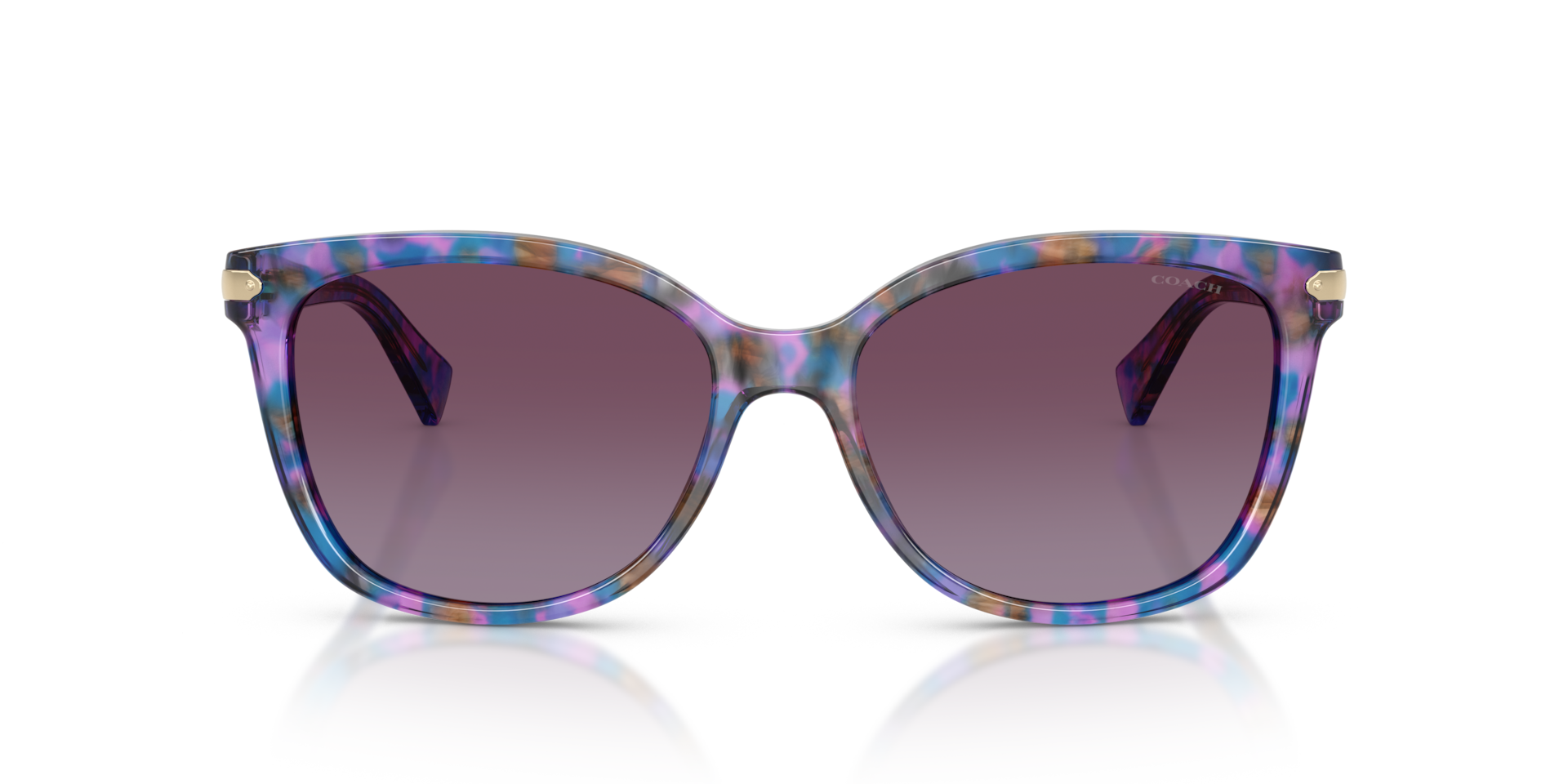 Coach HC8132 L109 Purple Confetti Tortoise, Size: L