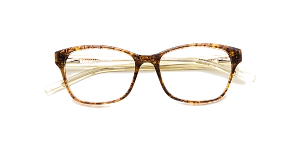 Clearly Glasses PRAHRAN