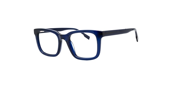 Clearly Glasses DILL