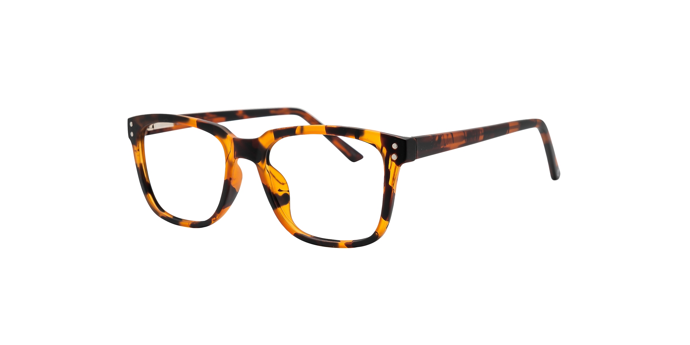 Clearly Glasses SALIX
