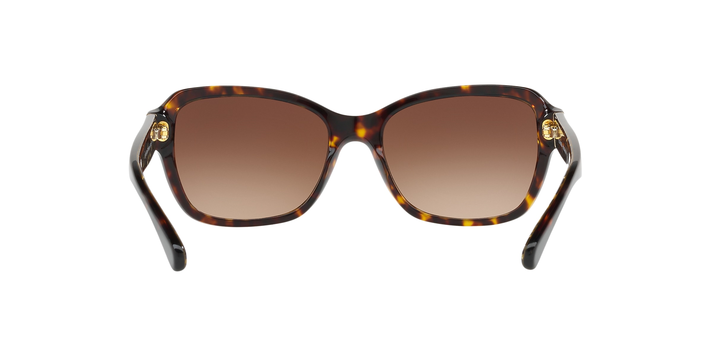 Coach Sunglasses HC8232 L1010