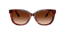 Coach Sunglasses HC8453U CDP53